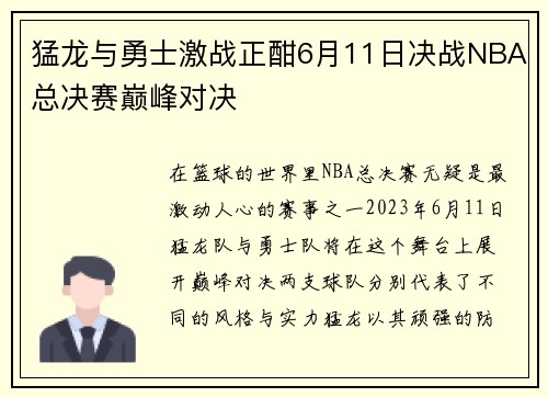 猛龙与勇士激战正酣6月11日决战NBA总决赛巅峰对决